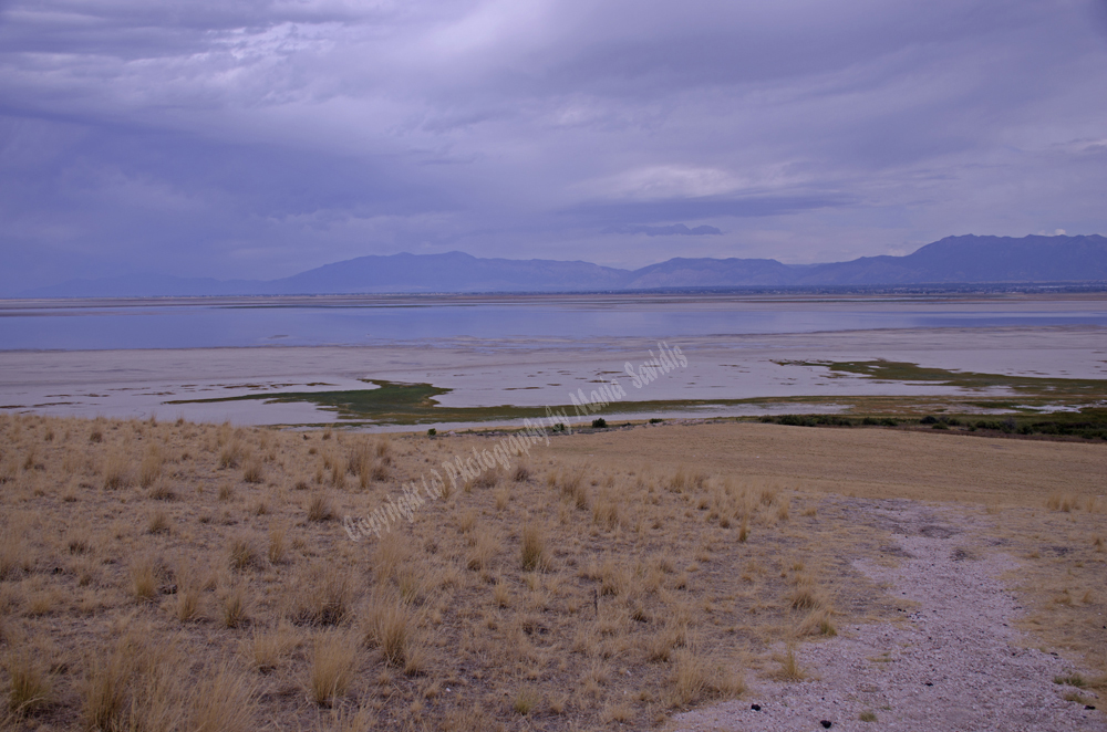 Antelope Island, Salt Lake, Utah 2016