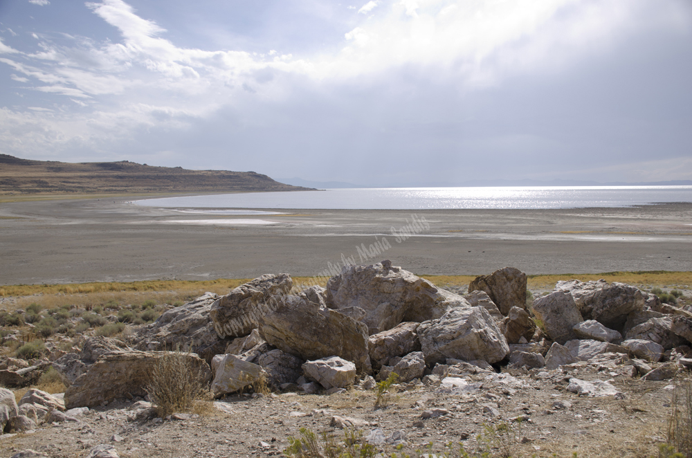 Antelope Island, Salt Lake, Utah 2016