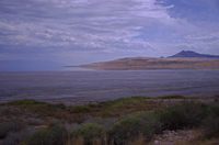 Antelope Island, Salt Lake, Utah 3788