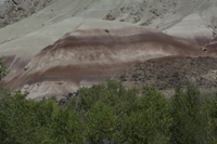 Capital Reef National Park, Utah 2016-2221