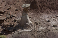 Capital Reef National Park, Utah 2016-2224