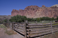 Capital Reef National Park, Utah 2016-5651