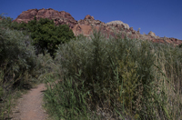 Capital Reef National Park, Utah 2016-5656