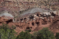 Capital Reef National Park, Utah 2016-5677