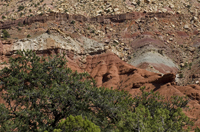 Capital Reef National Park, Utah 2016-5678