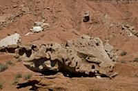 Capital Reef National Park, Utah 2016-5681