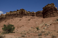 Capital Reef National Park, Utah 2016-5689