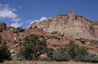 Capital Reef National Park, Utah 2016-5692