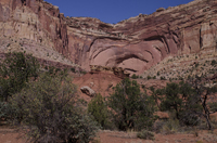 Capital Reef National Park, Utah 2016-5694