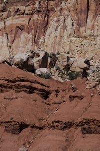 Capital Reef National Park, Utah 2016-5697