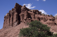 Capital Reef National Park, Utah 2016-5699