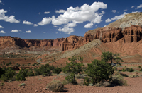 Capital Reef National Park, Utah 2016-5714