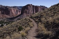 Capital Reef National Park, Utah 2016-5780