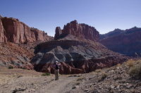 Capital Reef National Park, Utah 2016-5790