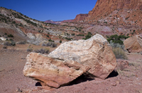 Capital Reef National Park, Utah 2016-5803