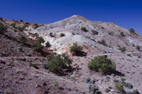 Capital Reef National Park, Utah 2016-5815