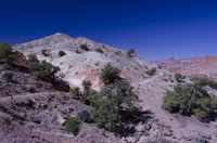 Capital Reef National Park, Utah 2016-5817