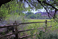 Capital Reef National Park, Utah 2016-5842