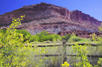 Capital Reef National Park, Utah 2016-5848