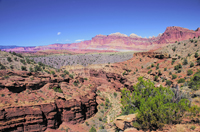 Capital Reef National Park, Utah 2016-5859