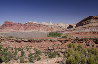 Capital Reef National Park, Utah 2016-5868