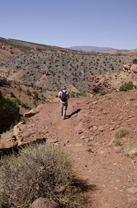 Capital Reef National Park, Utah 2016-5882