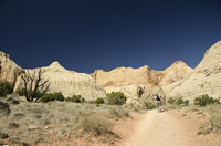 Capital Reef National Park, Utah 2016-5893