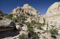 Capital Reef National Park, Utah 2016-5895