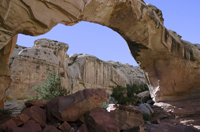 Capital Reef National Park, Utah 2016-5901