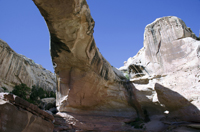 Capital Reef National Park, Utah 2016-5903