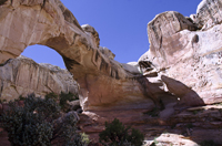 Capital Reef National Park, Utah 2016-5904