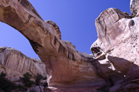 Capital Reef National Park, Utah 2016-5906