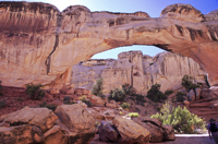 Capital Reef National Park, Utah 2016-5913