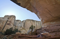 Capital Reef National Park, Utah 2016-5915