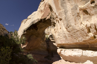 Capital Reef National Park, Utah 2016-5921