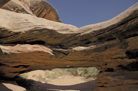 Capital Reef National Park, Utah 2016-5926