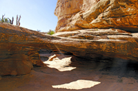 Capital Reef National Park, Utah 2016-5928