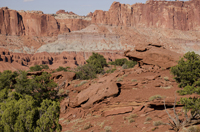 Capital Reef National Park, Utah 2016-5932