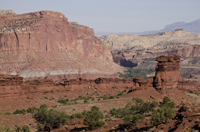 Capital Reef National Park, Utah 2016-5933