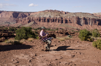 Capital Reef National Park, Utah 2016-5937